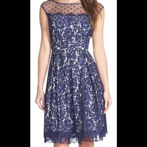Stunning cap sleeve Eliza J lace  cocktail dress